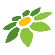 SLOT36